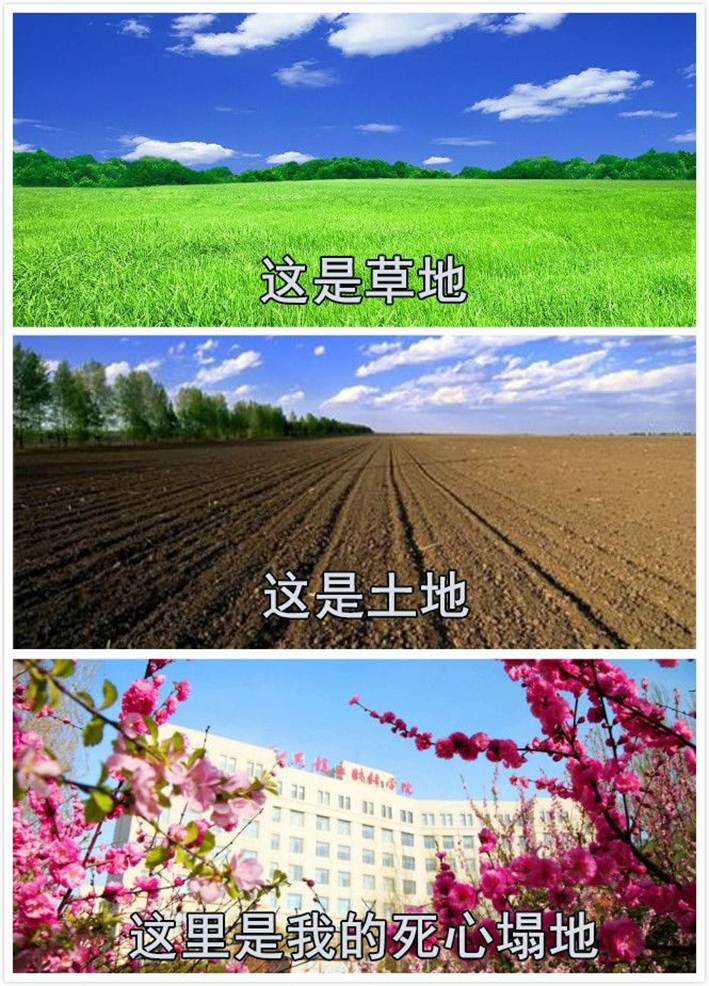 说明: IMG_276
